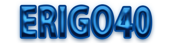 ERIGO40 Logo